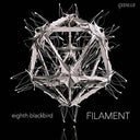 Filament [LP]