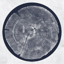 Roy Montgomery - R: Tropic Of Anodyne [LP]