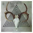 Communist Daughter - Cracks That Built The Wall [CD]