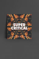 The Ting Tings - Super Critical (MP3 Download Included)