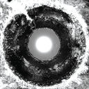 Suck The Light Out [LP]