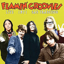 Flamin' Groovies - Live In San Francisco 1973 [LP]