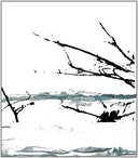 Tenhi - Vare (Blk) [Limited Edition] [180 Gram]