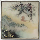Novo Amor - Birthplace (Vinyl LP)