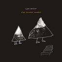 The Following Mountain [LP]