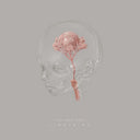 Lingering [LP]