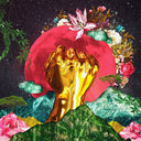 In A Galaxy [LP]