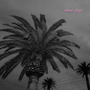 Actual Wolf - Faded Days [LP]