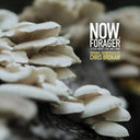 Now Forager (Original Soundtrack) [LP]