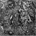 Animist [LP]