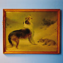 Explosions In The Sky - Rescue (Org) [LP]