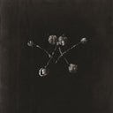 Nowhere Now [LP]