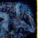 Les Fleurs du Mal [LP]
