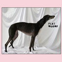 Flat Worms [LP]