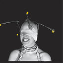 Shimmer [LP]