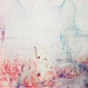 Pluralone - To Be One With You [CD]