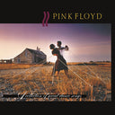 Pink Floyd - A Collection of Great Dance Songs [LP]