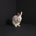 Rabbits [LP]