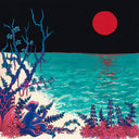 the first glass beach album [CD]