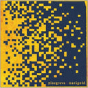 Pinegrove - Marigold (Indie Exclusive Vinyl)
