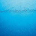 Caribou - Suddenly [CD]