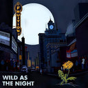 Fruition - Wild As The Night, Broken At The Break Of Day [LP]