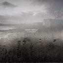 In November [180 Gram]