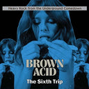 Brown Acid - The Sixth Trip / Various - Brown Acid - The Sixth Trip / Various [LP]