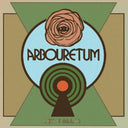Arbouretum - Let It All In (Blue) [Colored Vinyl] [Indie Exclusive] [Download Included]