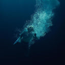 Lapsley - Through Water [Deluxe LP+7in]