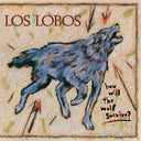 Los Lobos - How Will The Wolf Survive (Back To The 80's Exclusive) (Indie Exclusive Vinyl)