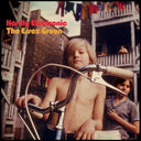The Essex Green - Hardly Electronic (Indie Exclusive Vinyl)