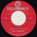 Sunny & Sunliners - The One Who's Hurting You Is / Should I Take You Home [7" Vinyl]