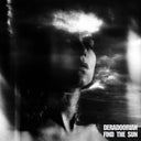 Find The Sun [LP]