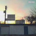 Someday Everything Will Be Fine [LP]