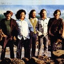The Turtles - Turtle Soup: Remastered [2LP]