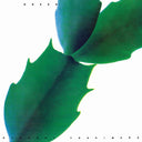 Hiroshi Yoshimura - / Vinyl (Indie Exclusive Vinyl)