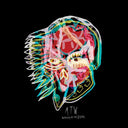 All Them Witches - Nothing As The Ideal [CD]