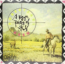 Robert Earl Keen - Bigger Piece Of Sky [LP]