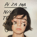 Nice To Meet You [LP]