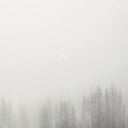 Jesu - Terminus [CD]