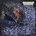 Of Feather & Bone - Sulfuric Disintegration [LP]