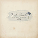 Beth Hirsch - L.I.F.E 2.0 (IEX) (Violet Vinyl) (Indie Exclusive Vinyl)