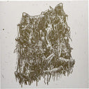 Expanse Of Hellish Black Mire [LP]