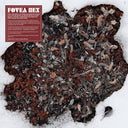 Fovea Hex - Salt Garden (Clear Vinyl) (W/Cd) [Clear Vinyl]