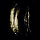 Plague Notes [LP]