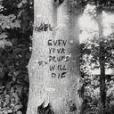 Even Your Drums Will Die: Live at Pendarvis Farm 2011 (IEX) [LP]
