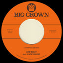 Liam Bailey - Champion (Remix) / Ugly Truth (Remix) [7" Vinyl]