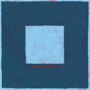 Pinegrove - Skylight (Vinyl LP)