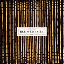 Steve Moore - Beloved Exile [LP]